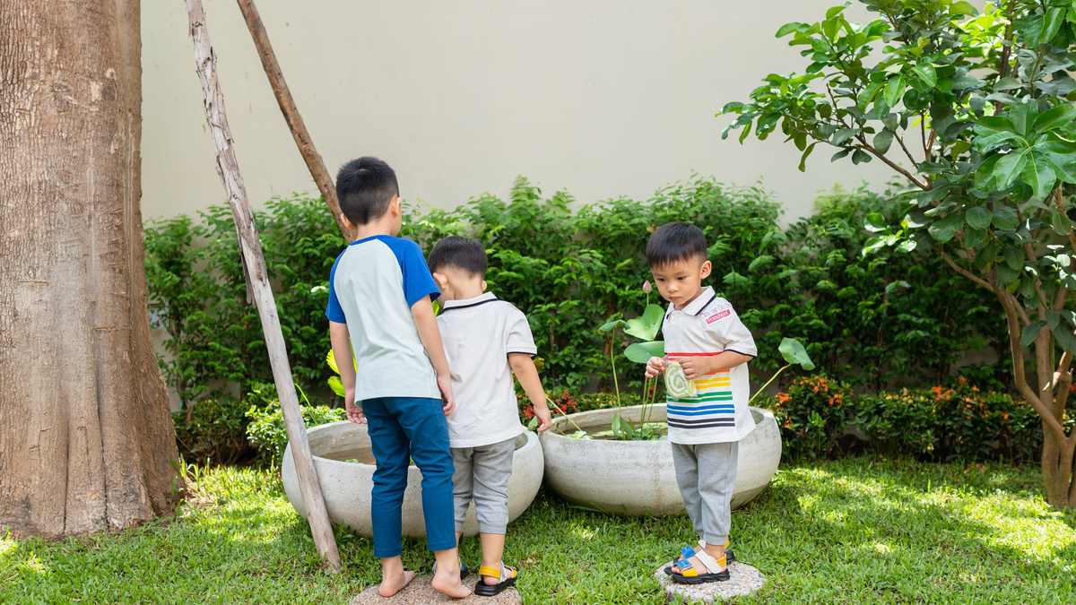 Children exploring the garden at Orange Crest Preschool